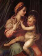 Andrea del Sarto The Virgin and Child oil painting reproduction